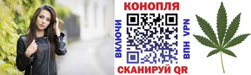 хочу наркоту  Гай  Шишки марихуана сатива 